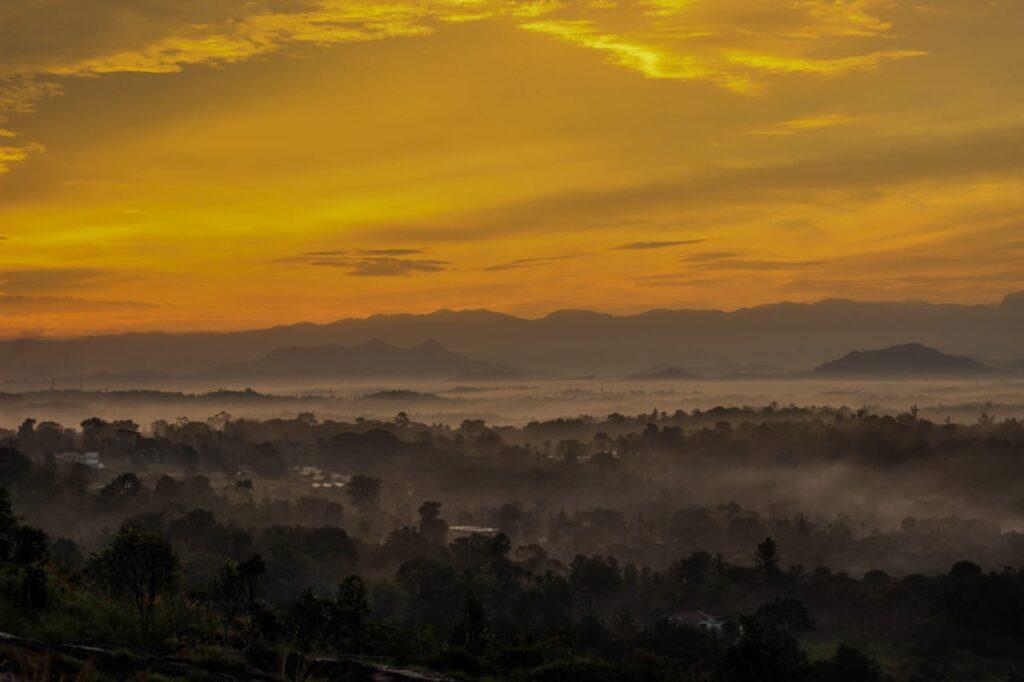 How Wayanad can overcome from the tragic landslide in July 2024