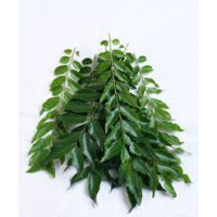 Dried Curry Leaves-ORGANIC